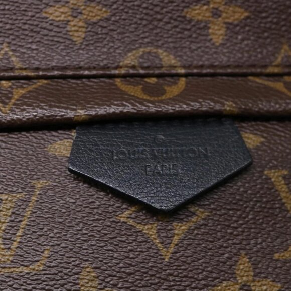 LOUIS VUITTON Monogram Palm Springs MM Backpack - Picture 8 of 16